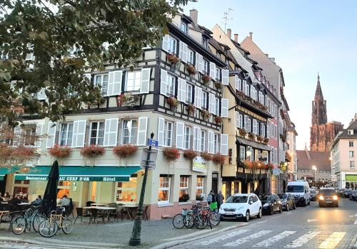 Nach Straßburg mit Fahrrad (5)